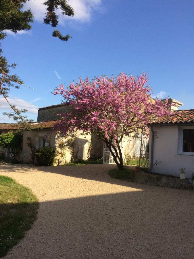 Le Logis Du Plessis Bed & Breakfast Chaniers Exterior foto