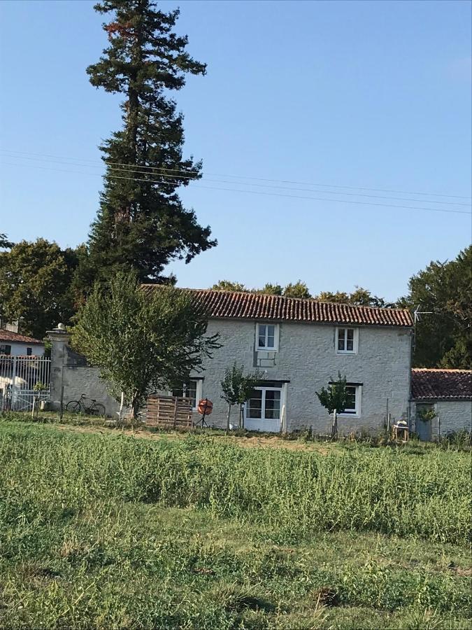 Le Logis Du Plessis Bed & Breakfast Chaniers Exterior foto